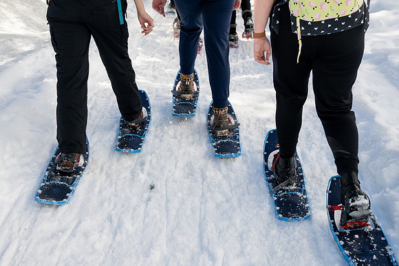 Snowshoeing at Bear Gulch - Mar 2025