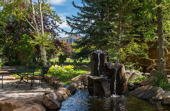 A tranquil spot in the gardens with the Hinckley Building in the background.