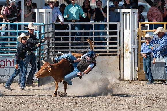 Spring Fest Rodeo - May 2025
