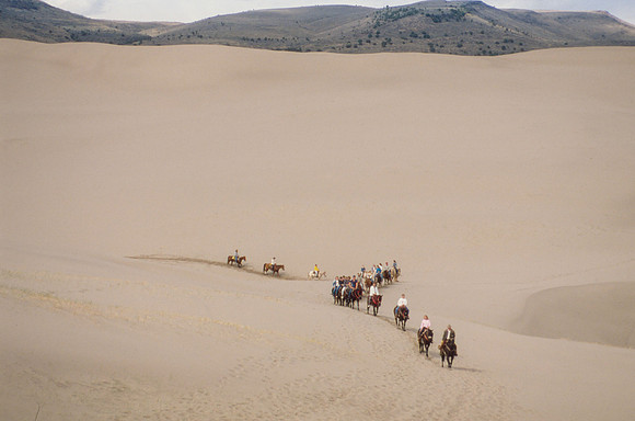 Biology students take a Field Trip to the Sand Dunes to go horseback riding with Mel Griffeth.