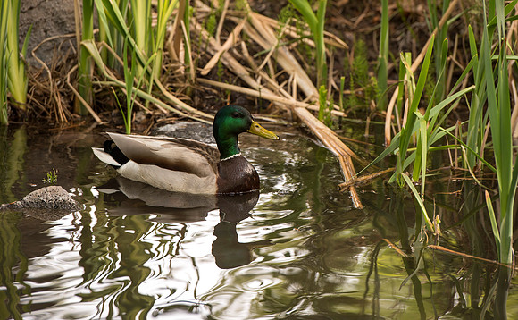 Spring is here and students are enjoying the beautiful campus sights.