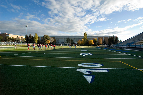 Stadium turf 2006