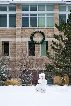 Campus Snow - Nov 2024