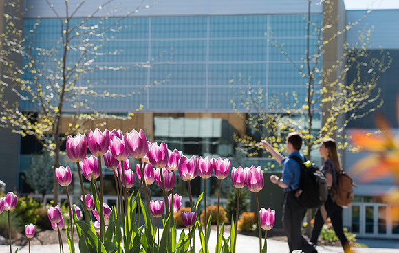 Tulips of different varieties adorn BYU-Idaho campus.