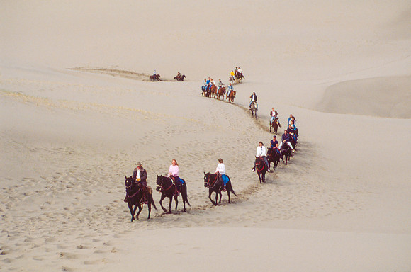 Biology students take a Field Trip to the Sand Dunes to go horseback riding with Mel Griffeth.