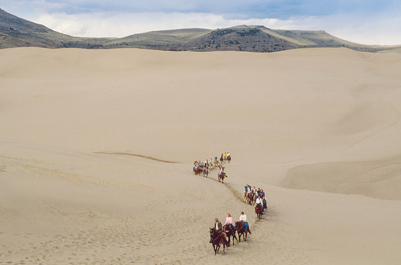 Biology students take a Field Trip to the Sand Dunes to go horseback riding with Mel Griffeth.