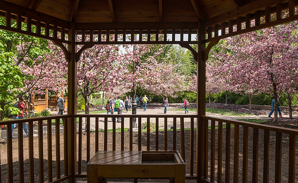 Spring in full bloom in the gardens.