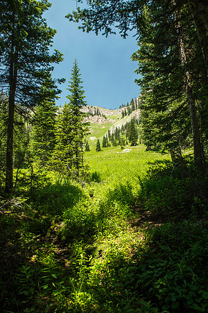 A massive rock buttress, several hundred feet tall on the South boundry of the Jackson Hole Ski resort.
