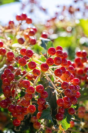 Nature on Campus - Aug 2024
