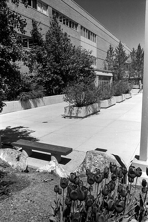 A view of the David O. McKay Library on Campus