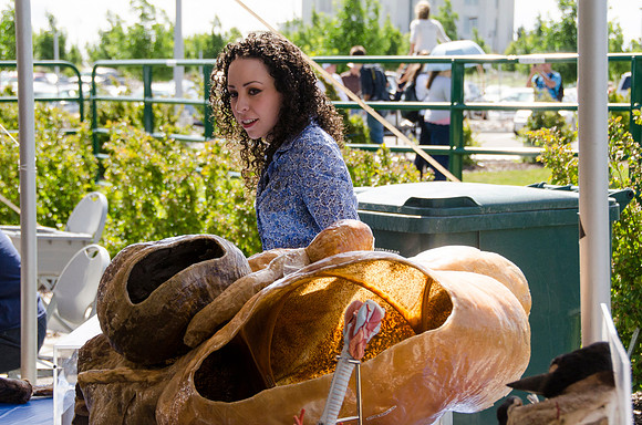 Student teaching about the stomach of a cow at BYU-Idaho's first Ag Days,