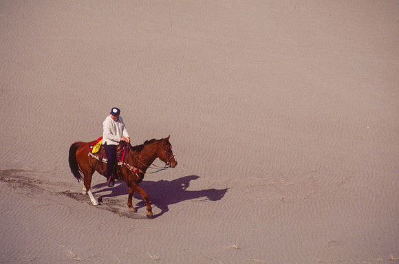 Biology students take a Field Trip to the Sand Dunes to go horseback riding with Mel Griffeth.