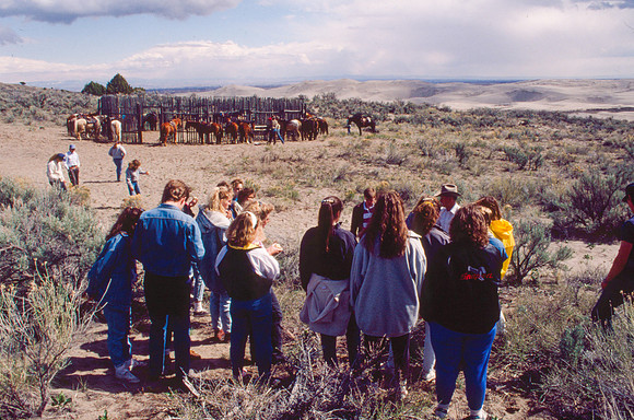 Biology students take a Field Trip to the Sand Dunes to go horseback riding with Mel Griffeth.