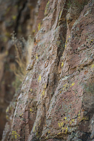 Detail shots of a carabiner. (Climbing wall up Kelly Canyon)