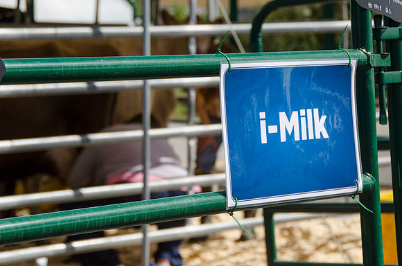 i-Milk tent where students could milk a cow at BYU-Idaho's first Ag Days