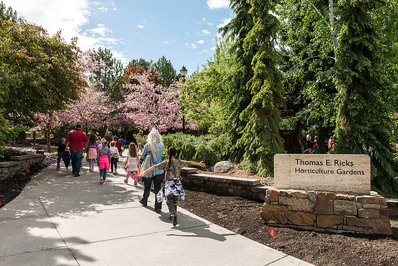 Spring in full bloom in the gardens.