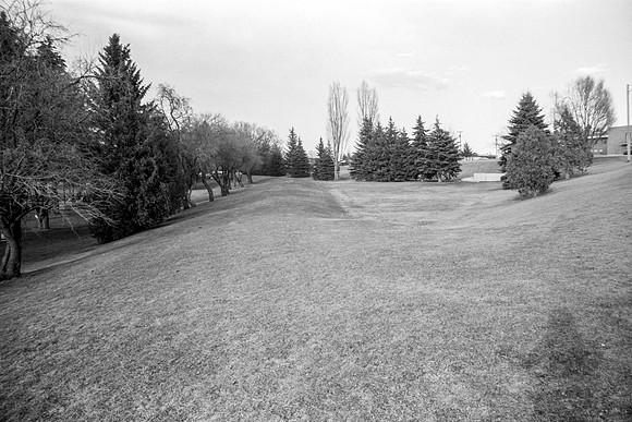 A hill in Smith Park