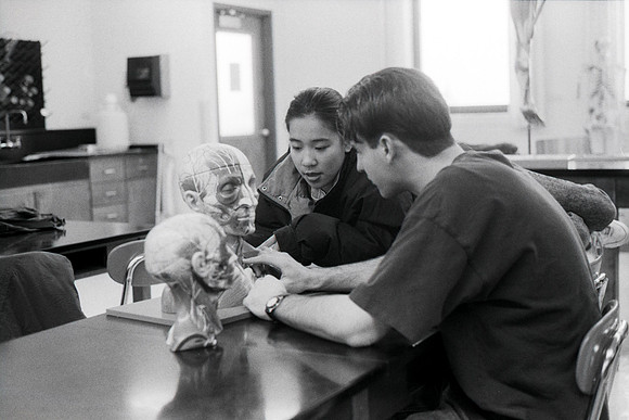 Biology students studying Anatomy and Physiology.