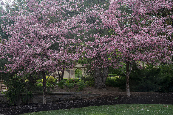 Flowers are in bloom and new additions to the plant life have appeared in the gardens.