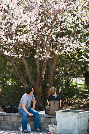 Students on Campus in the first week of Spring Semester.