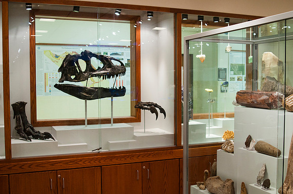 New displays to hold artifacts and mineral collection in the geology museum.