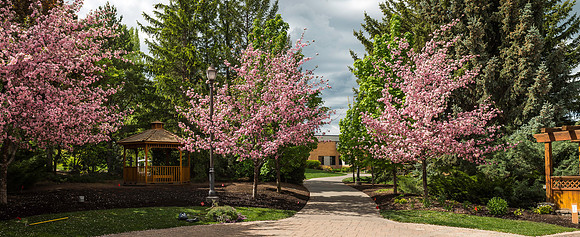 Spring in full bloom in the gardens.