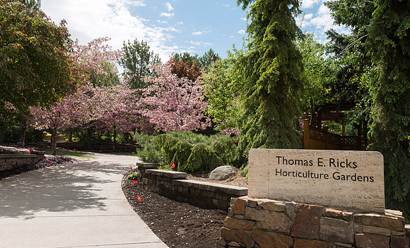 Spring in full bloom in the gardens.
