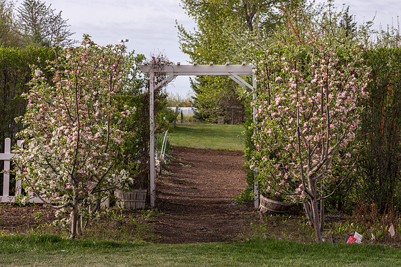 Spring is here and students are enjoying the beautiful campus sights.