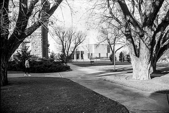 A view of the Eliza R. Snow Building on Campus