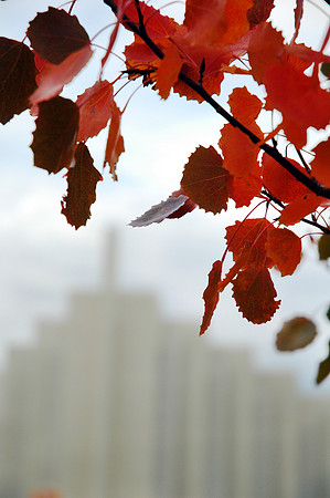 The John Taylor Building with a little fall color.