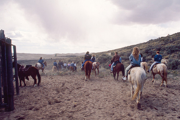 Biology students take a Field Trip to the Sand Dunes to go horseback riding with Mel Griffeth.