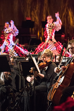 David Archuleta and Nathan Pacheco were the featured guests at BYU-Idaho's annual Christmas concert in the BYU-Idaho Center. They performed with the Symphony Orchestra, combined choirs, and other stud