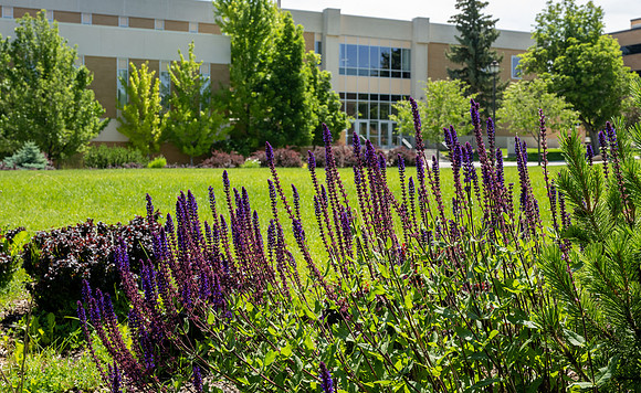 BYU-Idaho campus in the summer - July 2023