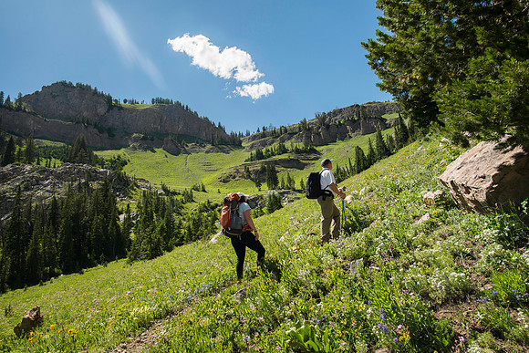 A massive rock buttress, several hundred feet tall on the South boundry of the Jackson Hole Ski resort. (Michael Ballard and Taylor Ray)