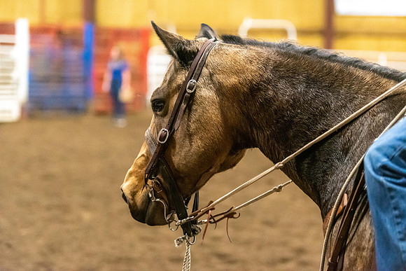 BYU-I Rodeo - Oct 2021