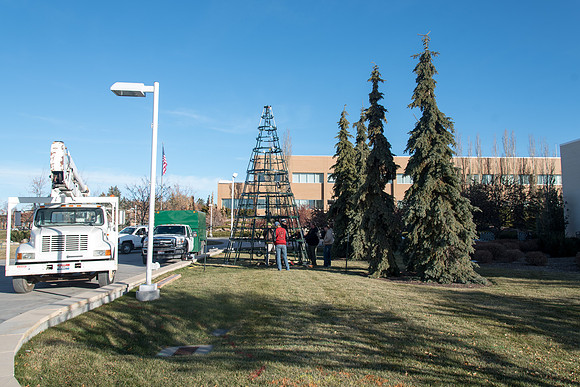 Christmas Tree at the Taylor Quad.