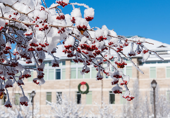 Spori building in the winter