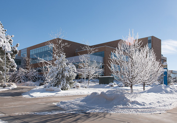 Manwaring Center