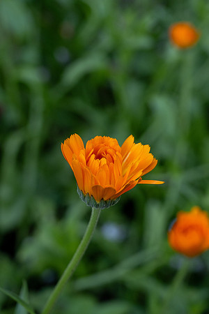 Nature on Campus - Aug 2024