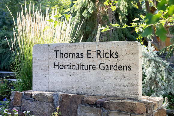 Ricks Gardens - Aug 2024