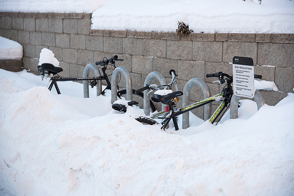 Doesn't look like these bikes will be in use any time soon!