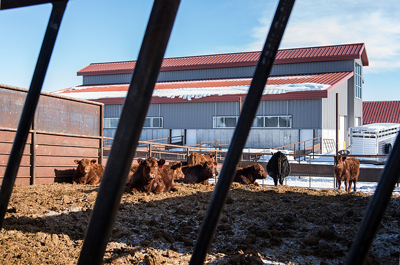 Agriculture and life Science Center West of Rexburg.