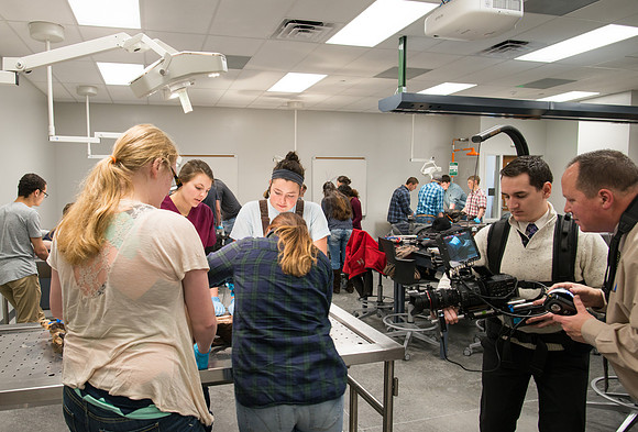 Animal Anatomy and Physiology Lab taught by Zeph Quirl.