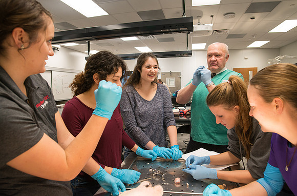Animal Anatomy and Physiology Lab taught by Zeph Quirl.