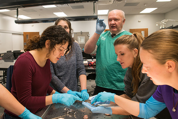 Animal Anatomy and Physiology Lab taught by Zeph Quirl.