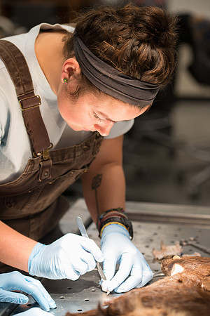 Animal Anatomy and Physiology Lab taught by Zeph Quirl.