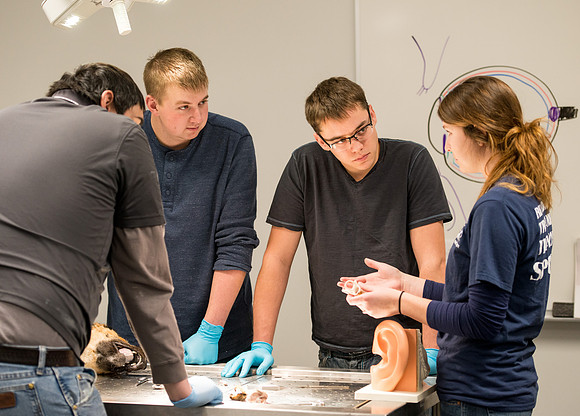 Animal Anatomy and Physiology Lab taught by Zeph Quirl.