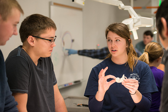Animal Anatomy and Physiology Lab taught by Zeph Quirl.