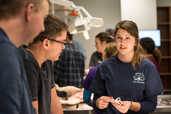 Animal Anatomy and Physiology Lab taught by Zeph Quirl.