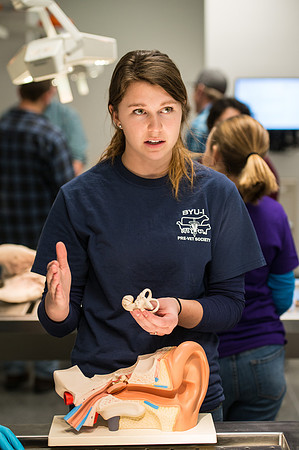 Animal Anatomy and Physiology Lab taught by Zeph Quirl.